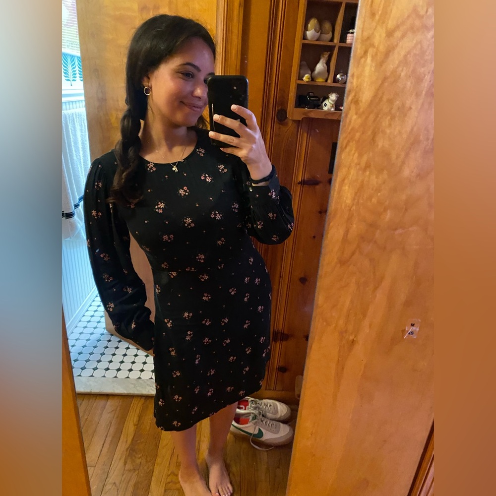 Velvet by Graham and Spencer Dress
